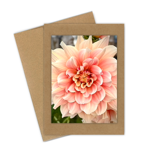 "Peach Dahlia"  Handmade 5x7 Greeting Card