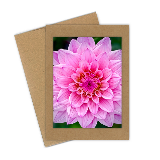 "Pink Lotus Dahlia"  Handmade 5x7 Greeting Card