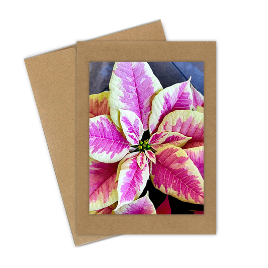 "Pink Poinsettia"  Handmade 5x7 Greeting Card