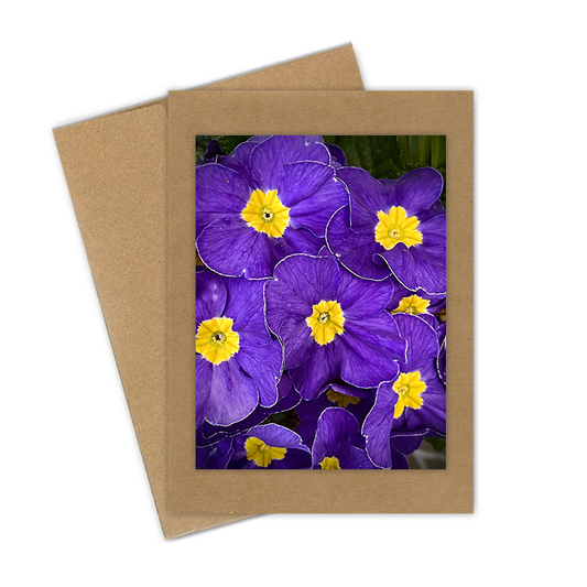 "Primrose, Purple" Handmade 5x7 Greeting Card