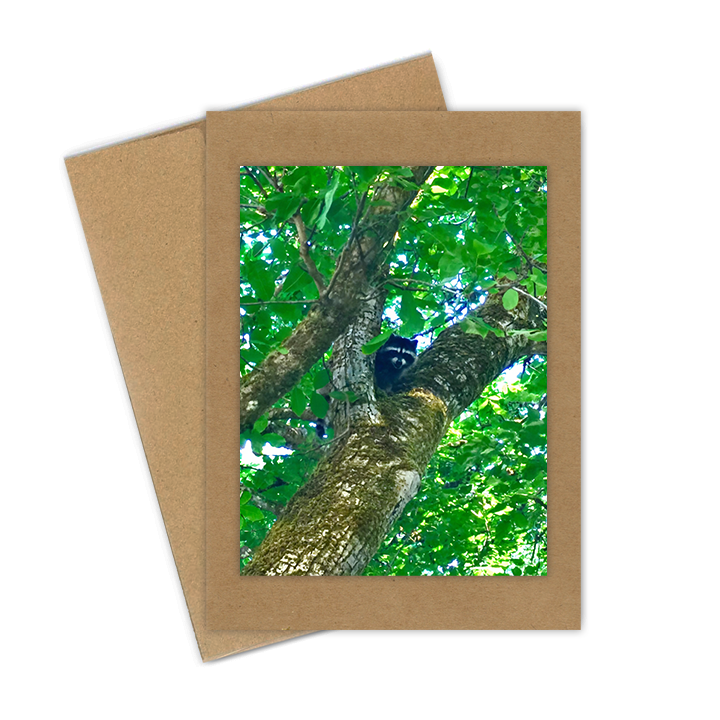 "Raccoon in Tree"  Handmade 5x7 Greeting Card