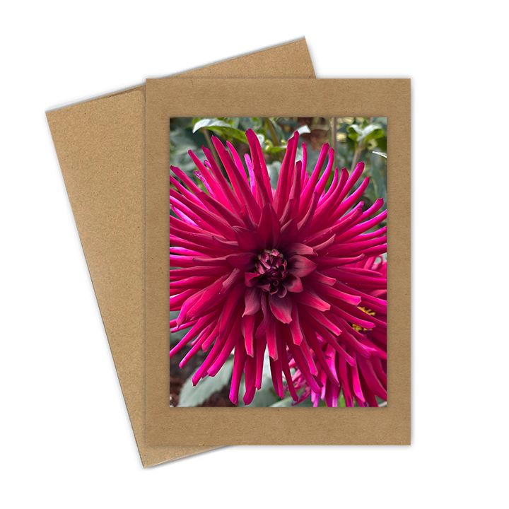 "Red Dahlia"  Handmade 5x7 Greeting Card