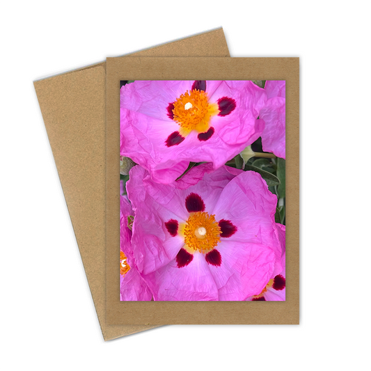 "Rock Roses"  Handmade 5x7 Greeting Card