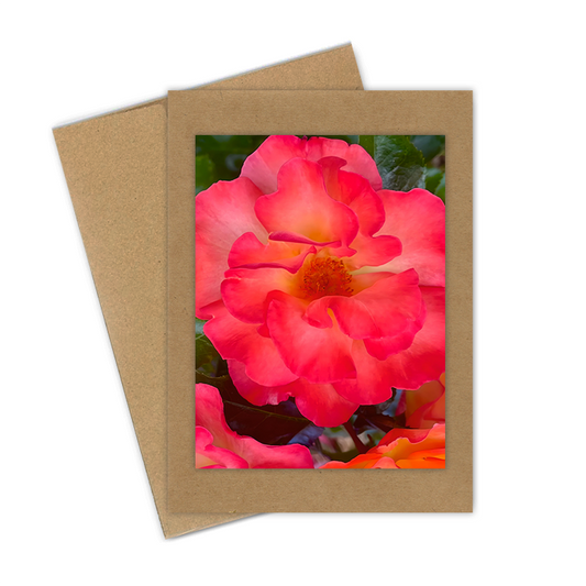 "Salmon Rose"  Handmade 5x7 Greeting Card