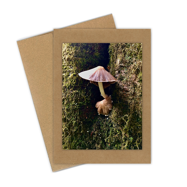 "Single Mushroom"  Handmade 5x7 Greeting Card