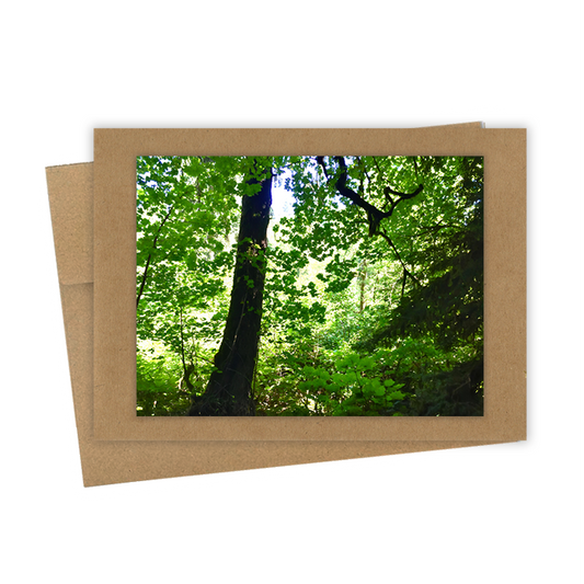 "Spring Forrest"  Handmade 5x7 Greeting Card