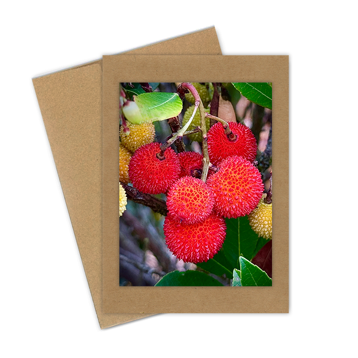 "Strawberry Bush"  Handmade 5x7 Greeting Card