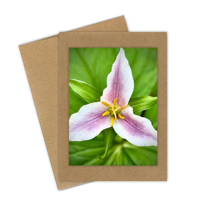 "Trillium"  Handmade 5x7 Greeting Card