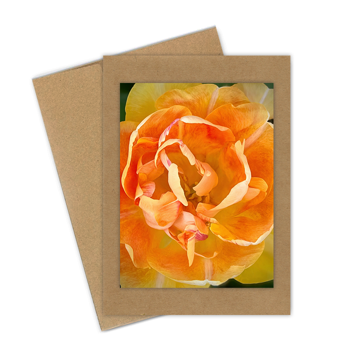 "Tulip, Orange Double"  Handmade 5x7 Greeting Card