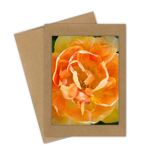 "Tulip, Orange Double"  Handmade 5x7 Greeting Card