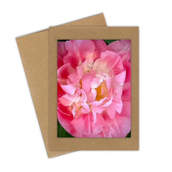 "Tulip, Pink Double"  Handmade 5x7 Greeting Card