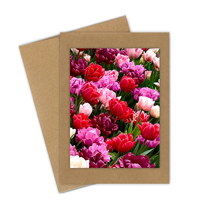 "Tulips, Double Mix"  Handmade 5x7 Greeting Card