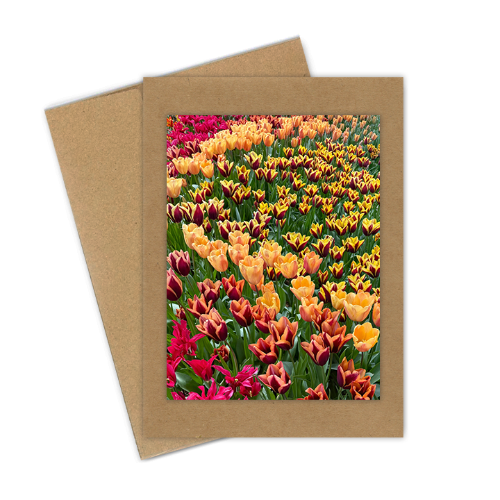"Tulips, Yellow Fields"  Handmade 5x7 Greeting Card