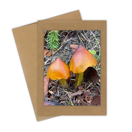 "Western Witch's Hat"  Handmade 5x7 Greeting Card
