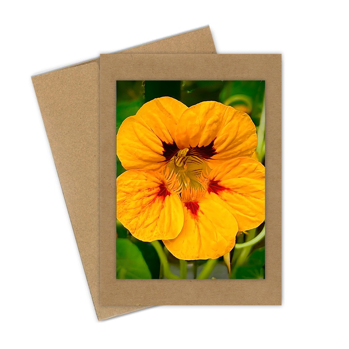 "Yellow Nasturtium"  Handmade 5x7 Greeting Card