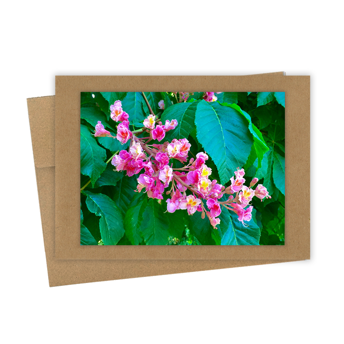 "Pink Chestnut"  Handmade 5x7 Greeting Card
