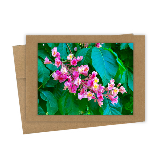 "Pink Chestnut"  Handmade 5x7 Greeting Card